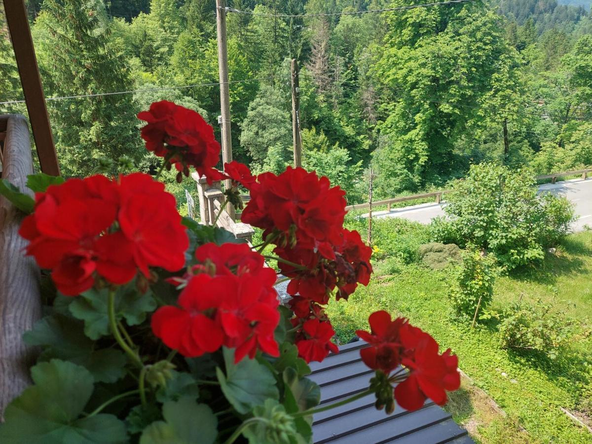 Hotel Gostisce Andrejc à Soča Extérieur photo